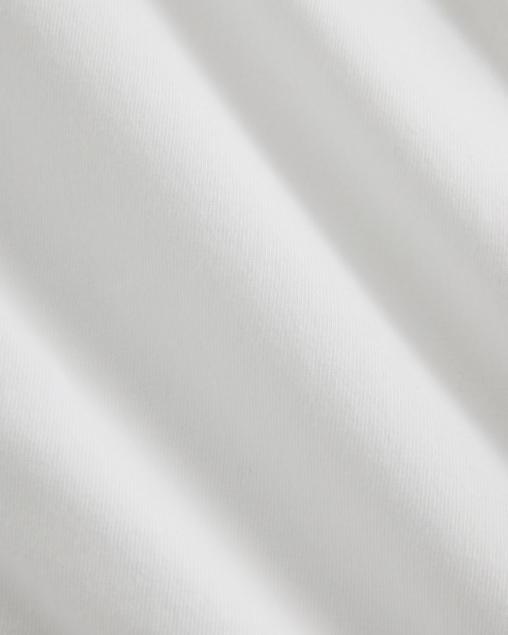 Button-Up Shirt in Essential Cotton | White